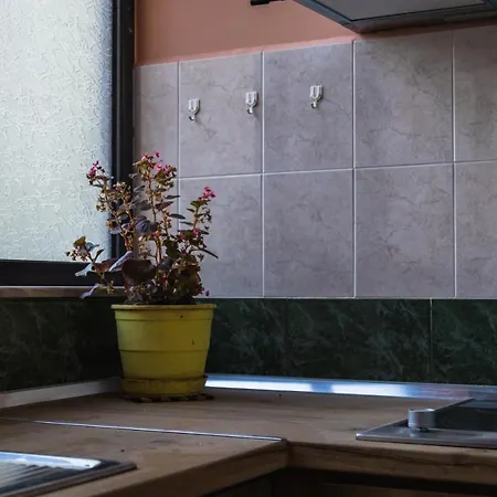 Tranquil Urban Space 아파트 티라나