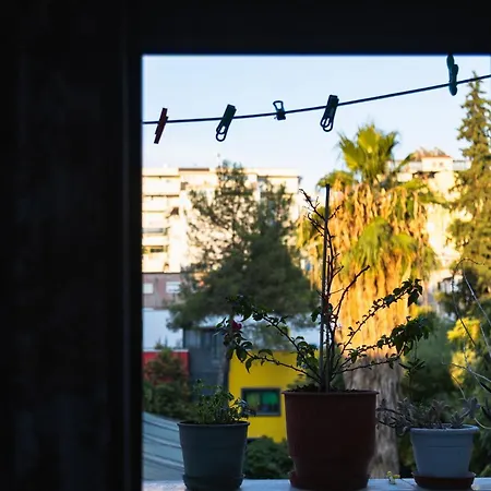 Tranquil Urban Space Tirana