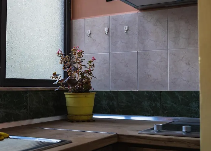 Tranquil Urban Space Apartamento Tirana